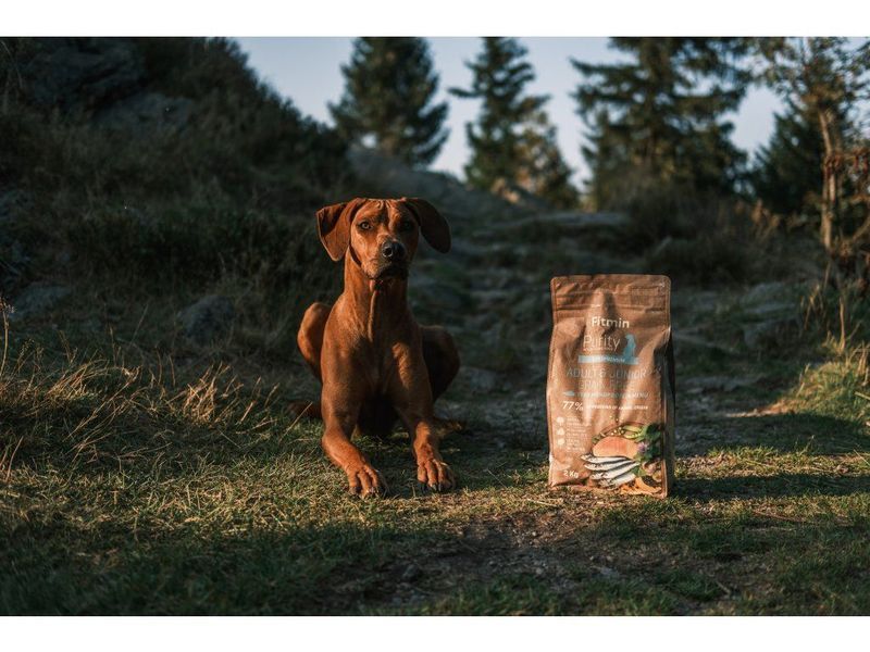 Фото Fitmin dog Purity GF Adult & Junior Fish Menu, 2 кг &mdash; купить в интернет-магазине ЗооБаза